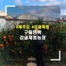 정방연로 이미지