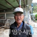 안심2리 이미지