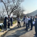 해맞이행사장 이미지