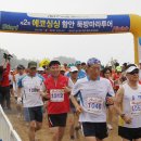 싱싱투어 이미지