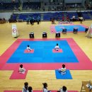 신명태권도 이미지