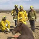 소근소근 이미지