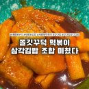 새롬동_세움빌딩앞 | 새롬동분식 맛집 강다짐 삼각김밥 세종새롬점 다짐이네 시장 떡볶이 후기