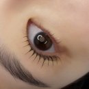 하담어린이집 | 울산 속눈썹펌 뷰티하담 무쌍 속눈썹펌 한 달 후기