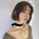 벨라노이
