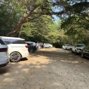 배내골펜션 솔밭휴양림 이미지