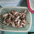 선진유통 이미지