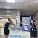 의료법인영경의료재단전주병원 이미지