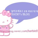 디오씨코리아 이미지