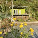 연두민박 이미지