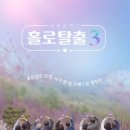 오초이스 이미지