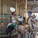 아라육로152번길 이미지