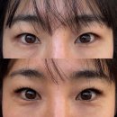 수원-1045 | 수원 매교 속눈썹 맛집 바이보니 클래식 연장 솔직후기