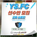 와이에스축구클럽 Daum카페