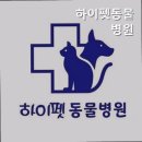 하이펫동물병원 이미지