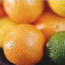 피부이야기 이미지