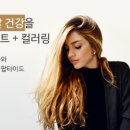 엠지에프두피탈모센터 이미지