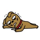 고봉갈비 이미지