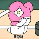 경북 영천 술집 추천 : 어여와포차