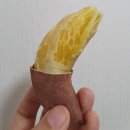 젠토리 이미지