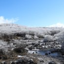 풍경속선물 이미지