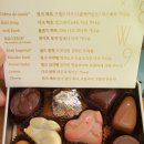 루피쉬스튜디오 이미지