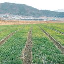 (주)아인투어 이미지