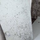 현대항균세탁 이미지