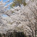 방화근린공원 관리사무소 이미지