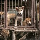 종식농장 이미지