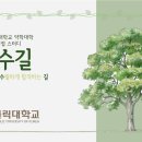 [가톨릭대/가대약대/카톨릭대/카대약대] ❗단회성 첨삭 옵션 추가❗ 🌳가톨릭대 약학대학 자소서&면접 스터디 🍃가로수길🍃🌳 이미지