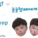 셀렌헤어 이미지