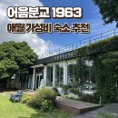 애월마당 | 애월 가성비 숙소 — 어음분교1963 게스트하우스 솔직 후기 (로즈마리 숙박)
