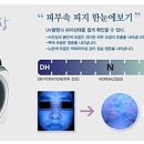 켈리스파 이미지
