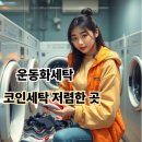 황금세탁소 | 코인세탁소 운동화 세탁 비용 완벽 정리! 1,000원대로 신발 빨래 끝내는 가성비 비결