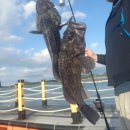 무기수산좌대낚시터 이미지