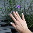 네일케이(Nail K) 이미지