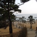 쏠피치 Daum카페