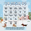 옥정강아지 이미지