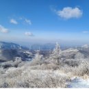 해승약국 이미지