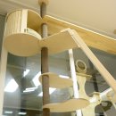 자올 하우스 이미지