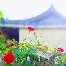 삼주1공인중개사사무소 이미지