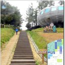정선여행] 추억이 열리는 소나무 " 정선타임캡슐공원" 이미지