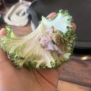 청라웰빙한상드림 | 청라맛집 신선하고 다양한 쌈채소 무한리필에 냉면까지 주는집 ‘싸미랑’