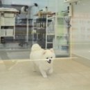행복한미용실 이미지
