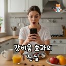 비움 | 갓비움 후기로 알아본 다이어트 진실