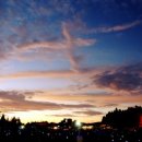 행정(허가) 심판 전문 행정사 사무소 이미지