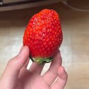 룰루PC방 | 0.2 월