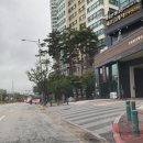 셀리진뮤즈 | 누워서 하는 체형관리 셀포랩제니스에서 휴가로 찐 살 빼자