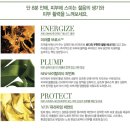 비에이브로스 | 라메르 인텐시브 리바이탈라이징 마스크 6개월 사용 후기(내돈내산)